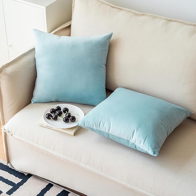 NiNi ALL Decorative Throw Pillow Covers Pack of 2, Velvet Throw Pillow Cases for Couch Pillows Cover Bedroom Living Room Outdoor Pillow Covers 24x24 Inch Baby Blue