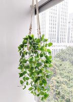 Comtelek Fake Hanging Plants Artificial Plants for Home Decor Macrame Plant Hanger with Fake Vines Faux Hanging Planter Greenery for Wall Ceiling Bedroom Bathroom Kitchen Office Boho Decor Indoor