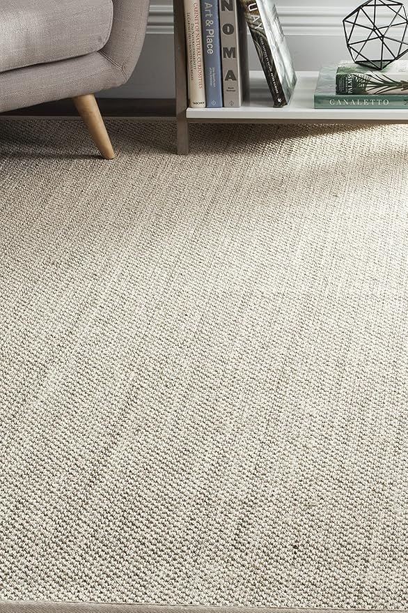 SAFAVIEH Area Rug 3x5 - Natural Fiber Collection - Marble & Beige, Sisal, Woven Design with Border (NF143C)