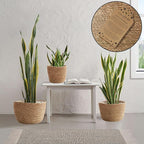 Casafield Set of 3 Seagrass Planter Baskets with Liners - Natural, Hand Woven Indoor Flower Pot Covers for Plants, Succulents, Home Decor
