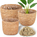 3 Pack Seagrass Plant Basket Indoor with Artificial Moss 3 Sizes Woven Baskets Flower Pots Planters for Home Decor