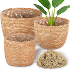 3 Pack Seagrass Plant Basket Indoor with Artificial Moss 3 Sizes Woven Baskets Flower Pots Planters for Home Decor