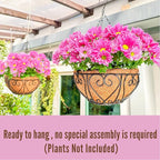 LaLaGreen Hanging Baskets for Plants (16 Inch, 6 Pack) Extra Large Hanging Flower Pot with Coco Liner Black Metal Wire Round Plant Holder with Hanger Hook Chain Outdoor Patio Deck Balcony Garden Decor