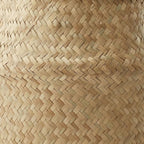 Casafield Seagrass Belly Storage Basket Planter with Handles - Small, Natural Woven Wicker Indoor Plant Pot Cover for Plants and Trees