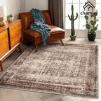 5x7 Washable Area Rug Vintage Traditional Floor Cover Foldable Thin Kitchen Accent Indoor Distressed Non Slip Carpet Rugs for Bedroom Living Room Bathroom