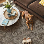 GENIMO 6x9 Area Rug Machine Washable Boho Rug for Living Room,Ultra-Thin Low Pile Carpet,Lightweight Indoor Printed Rug,Non Slip Floral Area Rug for Bedroom, Dining Room, Home Office,Brownish Green