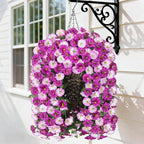 Artificial Fake Hanging Flowers Basket for Outdoor Indoor Decoration,UV Resistant Faux Silk Light Fuchsia and Fuchsia Morning Glory Flowers Plants Realistic Hanging Planter for Outside Home Porch Yard