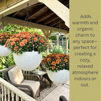 LaLaGreen Indoor Hanging Planter (11 Inch, 2 Pack) Self-Watering Round Flower Pot with Water Level Indicator, White Rattan Style Hanging Basket on Metal Chain for Balcony, Porch, Patio, Garden Decor