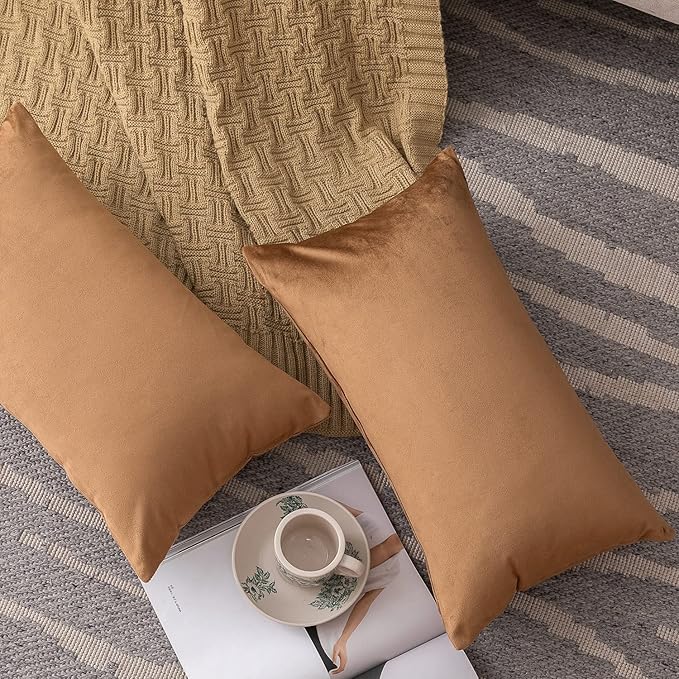 NiNi ALL Decorative Throw Pillow Covers Pack of 2, Velvet Cushion Case for Couch Bedroom Living Room Outdoor, Pillow Covers 12x20 Inch（30 x 50 cm） Brown