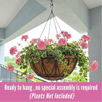 LaLaGreen Hanging Baskets for Plant Outdoor (20 Inch, 4 Pack) Extra Large Black Metal Wire Hanging Planter with Coco Liner Round Flower Pot Holder Hanger Deck Porch Decor Modern Garden Balcony Country