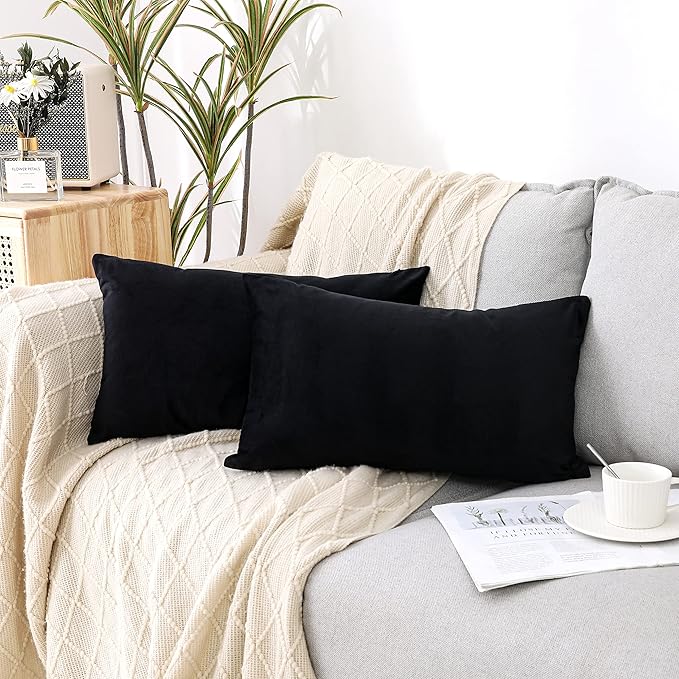 NiNi ALL Decorative Throw Pillow Covers Pack of 2 Velvet Throw Pillow Cases for Couch Sofa Bed Car Office Pillows Cover Bedroom Living Room Outdoor Black Pillow Covers 12x20 Inch