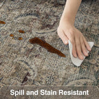 Fmfunctex 5x7 Washable Area Rug Neutral Vintage Brown Distressed Non Slip Low Pile Retro Indoor Carpet for Living Room Bedroom Soft Mat Throw Rug for Dining Office Kitchen Dorm Nursery Entryway, Multi