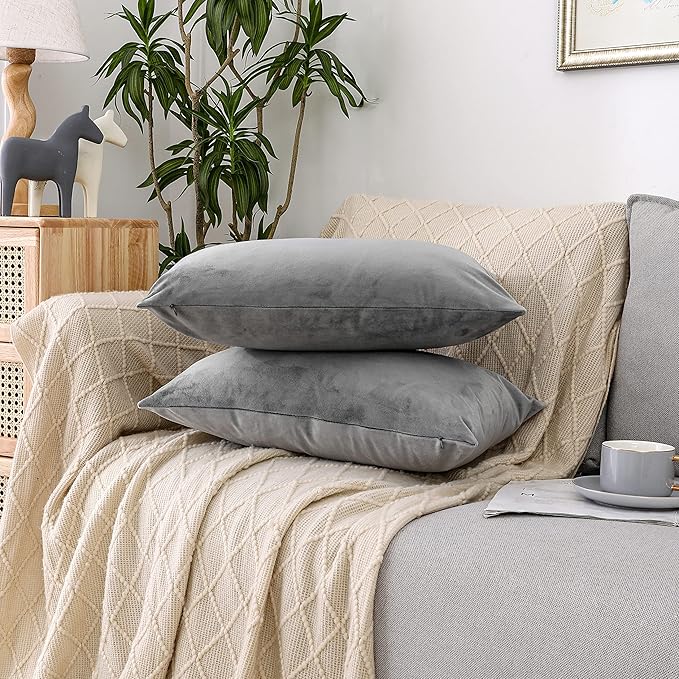 NiNi ALL Decorative Throw Pillow Covers Pack of 2, Velvet Throw Pillow Cases for Couch Pillows Cover Bedroom Living Room Outdoor, Pillow Covers 12x20 Inch Grey