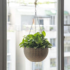 10" Self Watering Bronze Hanging Basket Flower Planter