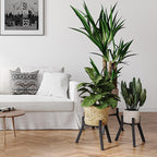 Adjustable Plant Stands Set of 2, Metal Small Plant Holder, Heavy Duty Stable Flower Holder Stand Rack for Various Pot Sizes Indoor Outdoor Corner Living Room Balcony Office Black PS-007BK-2
