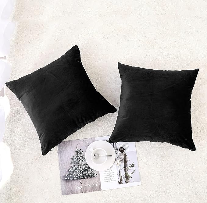 NiNi ALL Decorative Throw Pillow Covers Pack of 2, Velvet Throw Pillow Cases for Couch Pillows Cover Bedroom Living Room Outdoor, Pillow Covers 24x24 Inch Black