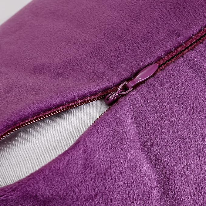 NiNi ALL Decorative Throw Pillow Covers Velvet Soft for Couch Sofa Bedroom Living Room Outdoor Pack of 2 20x20 Inch Purple