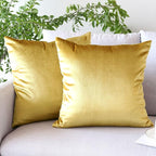 2 Pack Soft Velvet Couch Throw Pillow Covers 20x20 Inch for Sofa Living Room Bedroom (Gold)