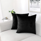 NiNi ALL Decorative Throw Pillow Covers Pack of 2, Velvet Throw Pillow Cases for Couch Pillows Cover Bedroom Living Room Outdoor, Pillow Covers 16x16 Inch, Black