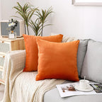 NiNi ALL Decorative Throw Pillow Covers Pack of 2, Halloween Velvet Cushion Case for Couch Bedroom Living Room Outdoor, Pillow Covers 20x20 Inch（50 x 50 cm） Orange