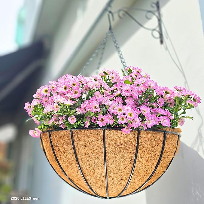 LaLaGreen Hanging Baskets for Plant Outdoor (20 Inch, 2 Pack) Extra Large Black Metal Wire Hanging Planter with Coco Liner Round Flower Pot Holder Hanger Deck Porch Modern Garden Balcony Country Decor