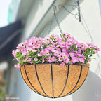 LaLaGreen Hanging Baskets for Plant Outdoor (18 Inch, 4 Pack) Extra Large Black Metal Wire Hanging Planter with Coco Liner Round Flower Pot Holder Hanger Deck Porch Modern Garden Balcony Country Decor