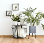 D'vine Dev 14 Inch Planter Pot with Stand, Mid-Century Tall Plant Pot with Legs for Indoor Plants, X-Large, Grey, 88-O-D-3