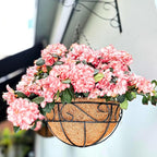 LaLaGreen Hanging Planter for Outdoor Plants (14 Inch, 4 Pack) Hanging Baskets with Coco Liner, Black Metal Wire Flower Basket Pots with Hook Hanger Balcony Porch Farmhouse Country Style Garden Decor