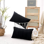 NiNi ALL Decorative Throw Pillow Covers Pack of 2 Velvet Throw Pillow Cases for Couch Sofa Bed Car Office Pillows Cover Bedroom Living Room Outdoor Black Pillow Covers 12x20 Inch