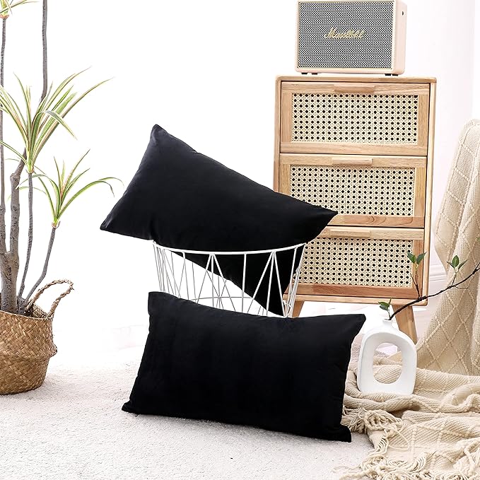 NiNi ALL Decorative Throw Pillow Covers Pack of 2 Velvet Throw Pillow Cases for Couch Sofa Bed Car Office Pillows Cover Bedroom Living Room Outdoor Black Pillow Covers 12x20 Inch