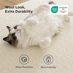 Bedsure 5x7 Faux Wool Area Rugs for Living Room, Machine Washable Carpet, Non-Slip Backing, Pet Friendly Throw Rug for Bedroom Dining Room, Cream