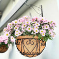 LaLaGreen Hanging Baskets for Plants (16 Inch, 6 Pack) Extra Large Hanging Flower Pot with Coco Liner Black Metal Wire Round Plant Holder with Hanger Hook Chain Outdoor Patio Deck Balcony Garden Decor