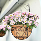 LaLaGreen Hanging Baskets for Plants (16 Inch, 6 Pack) Extra Large Hanging Flower Pot with Coco Liner Black Metal Wire Round Plant Holder with Hanger Hook Chain Outdoor Patio Deck Balcony Garden Decor