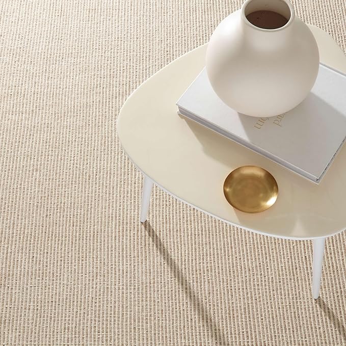 Dash and Albert Haverhill Cotton Area Rug - 2' x 3' Neutral Solid Handwoven Accent Rug - Durable, High Traffic Areas Hallway, Living Room, Stairs, Bedroom