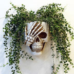Skull Wall Planter for Home Décor, Resin Skeleton Gothic Planter for Indoor Outdoor Plants Decorations, White Hanging Skull Vase Unique Spooky Face Flower Pot Head Planters