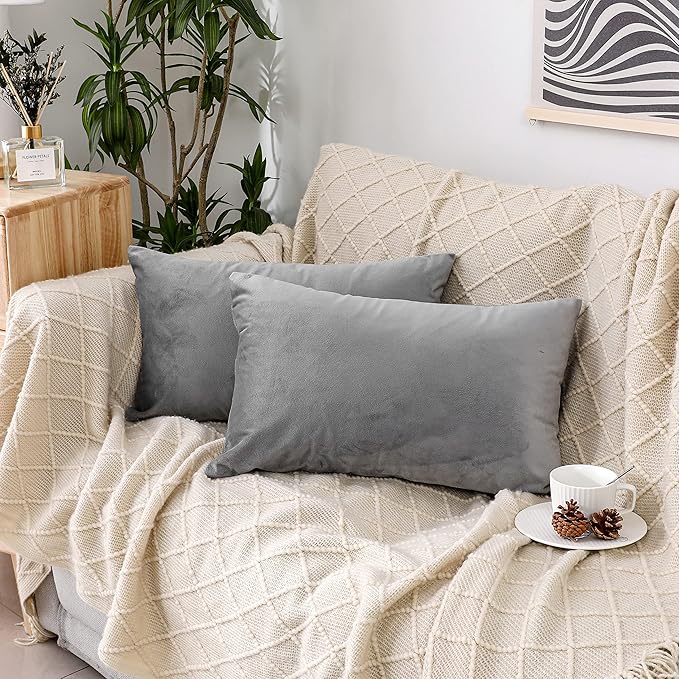 NiNi ALL Decorative Throw Pillow Covers Pack of 2, Velvet Throw Pillow Cases for Couch Pillows Cover Bedroom Living Room Outdoor, Pillow Covers 12x20 Inch Grey