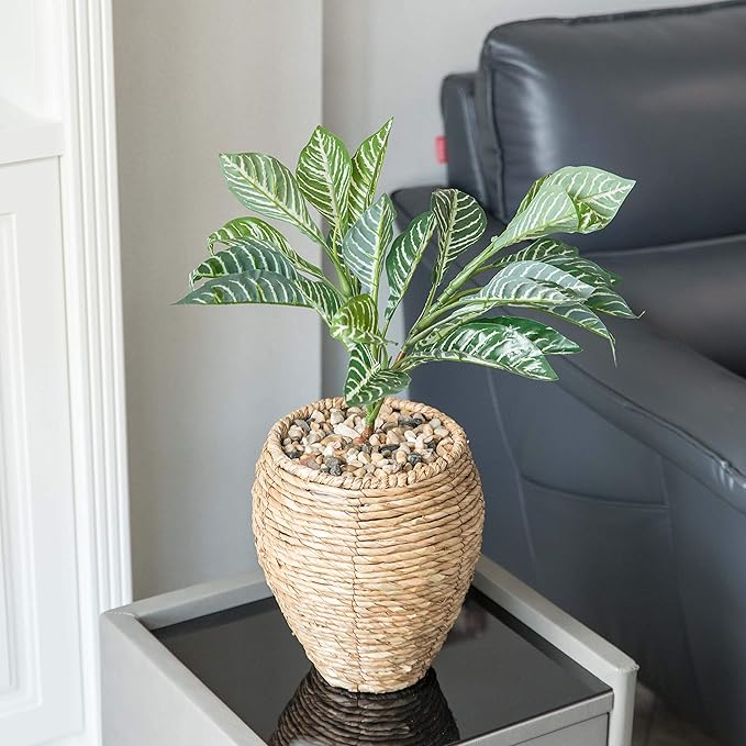 Vintiquewise Woven Round Flower Pot Planter Basket with Leak-Proof Plastic Lining- Small