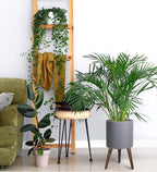 D'vine Dev 10 Inch Planter Pot with Stand, Mid-Century Tall Plant Pot with Legs for Indoor Plants, Medium, Grey, 88-O-B-3