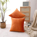 NiNi ALL Decorative Throw Pillow Covers Velvet 24x24 Inch Pack of 2 Orange Cushion Covers Soft for Couch Sofa Bedroom Living Room Outdoor