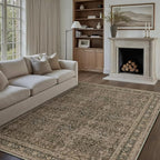 6x9 Area Rug for Living Room Brown Vintage Washable Bedroom Carpet Traditional Distressed Soft Non Slip Indoor Large Accent Rug Retro Thin Low Pile Floor Cover for Dining Room Playroom