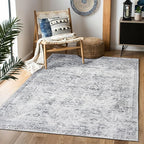 Area Rug 4×6, Vintage Boho Rug,Ultra-Soft Low Pile, Washable, Non Slip,Stain Resistant Printed Carpet for Living Room Bedrooms Playroom Office Kitchen, Classic-Grey