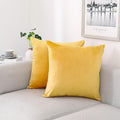 NiNi ALL Decorative Throw Pillow Covers Velvet 16x16 Inch Pack of 2 Yellow Cushion Covers Soft for Couch Sofa Bedroom Living Room Outdoor