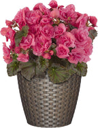 Classic Home & Garden Nantucket 8" Planter, Russet