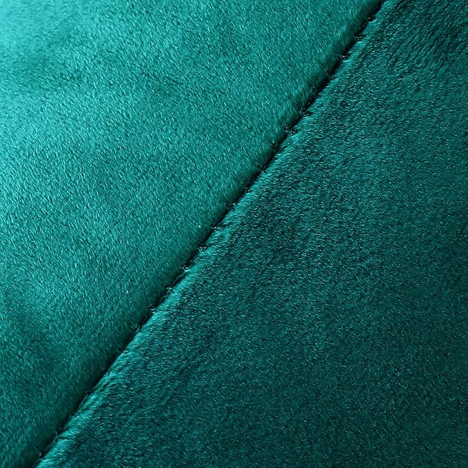 NiNi ALL Decorative Throw Pillow Covers Velvet Soft for Couch Sofa Bedroom Living Room Outdoor Pack of 2 20x20 Inch Teal