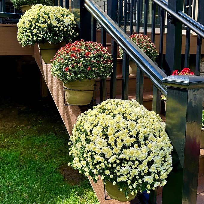 Railscapes Floating Railing Plant Clip for 1.25” - 1.5” Thick Spindles