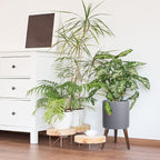 D'vine Dev 10 Inch Planter Pot with Stand, Mid-Century Tall Plant Pot with Legs for Indoor Plants, Medium, Grey, 88-O-B-3