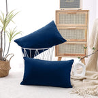 NiNi ALL Decorative Throw Pillow Covers Velvet 20x30 Inch Pack of 2 Dark Blue Cushion Covers Soft for Couch Sofa Bedroom Living Room Outdoor