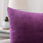 NiNi ALL Decorative Throw Pillow Covers Velvet Soft for Couch Sofa Bedroom Living Room Outdoor Pack of 2 20x20 Inch Purple