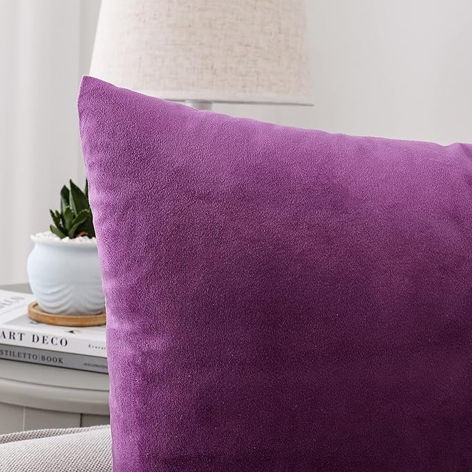 NiNi ALL Decorative Throw Pillow Covers Velvet Soft for Couch Sofa Bedroom Living Room Outdoor Pack of 2 20x20 Inch Purple