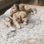 GENIMO 2x3 Reversible Door Mat for Entryway, Machine Washable Non Slip Vintage Rugs, Low Pile Lightweight Soft Print Rug for Hallway, Corridor, Home, Office, Kitchen, Taupe & Blue